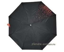 Женский зонт Ferre Milano LA4007-4