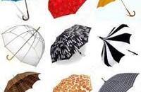 Какие зонты в моде
