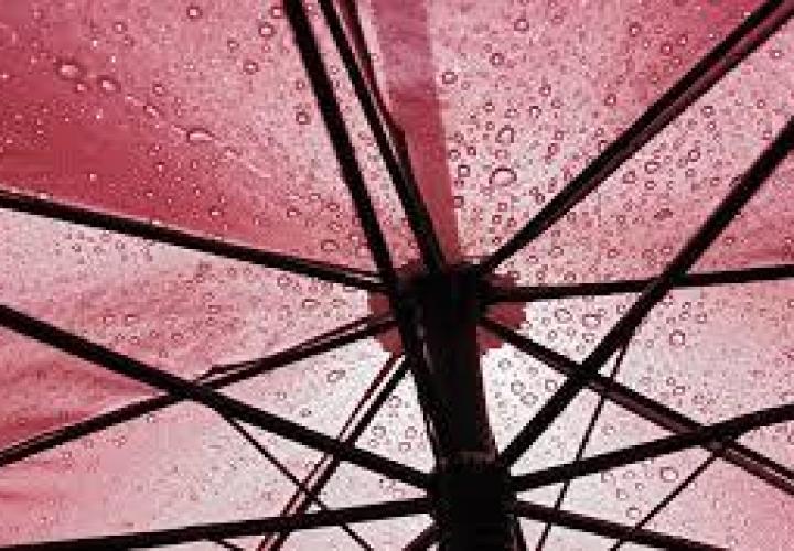 Мужские зонты Ferre Milano оптом